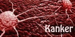 khasiat buah naga kanker