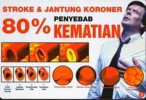 stroke jantung khasiat buah merah oil papua