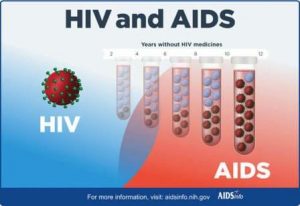 khasiat buah merah untuk hiv