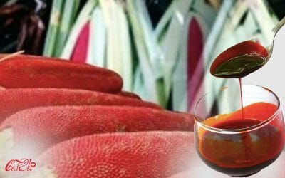 Buah Merah untuk Diabetes: Cara Alami Mengontrol Kadar Gula Darah