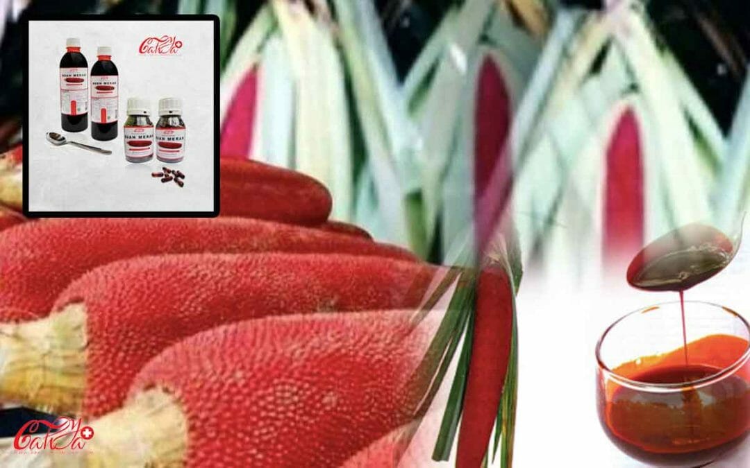 Papua Red Fruit Oil Benefits for Health