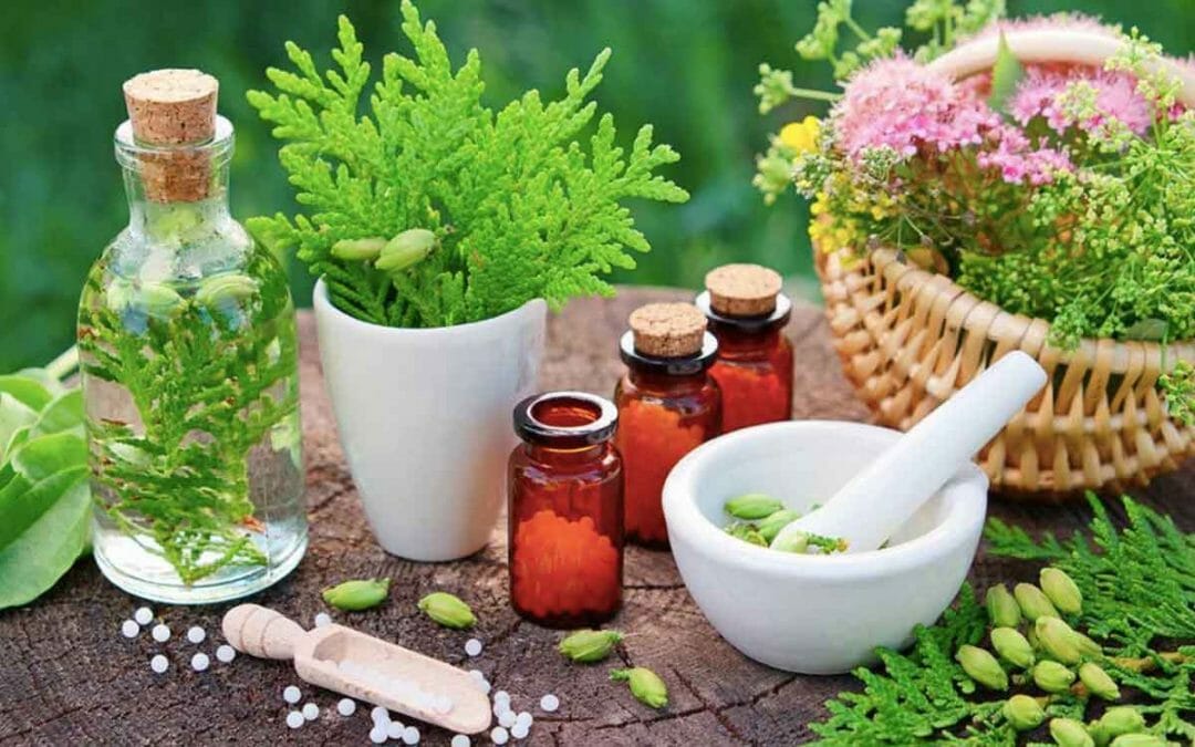 Daftar Tanaman Herbal Untuk Imunitas Tubuh