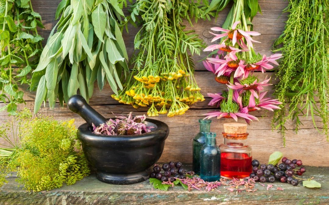 ANALISIS KOMPARATIF: KHASIAT MINYAK BUAH MERAH PAPUA DALAM PENGOBATAN TRADISIONAL DAN MODERN