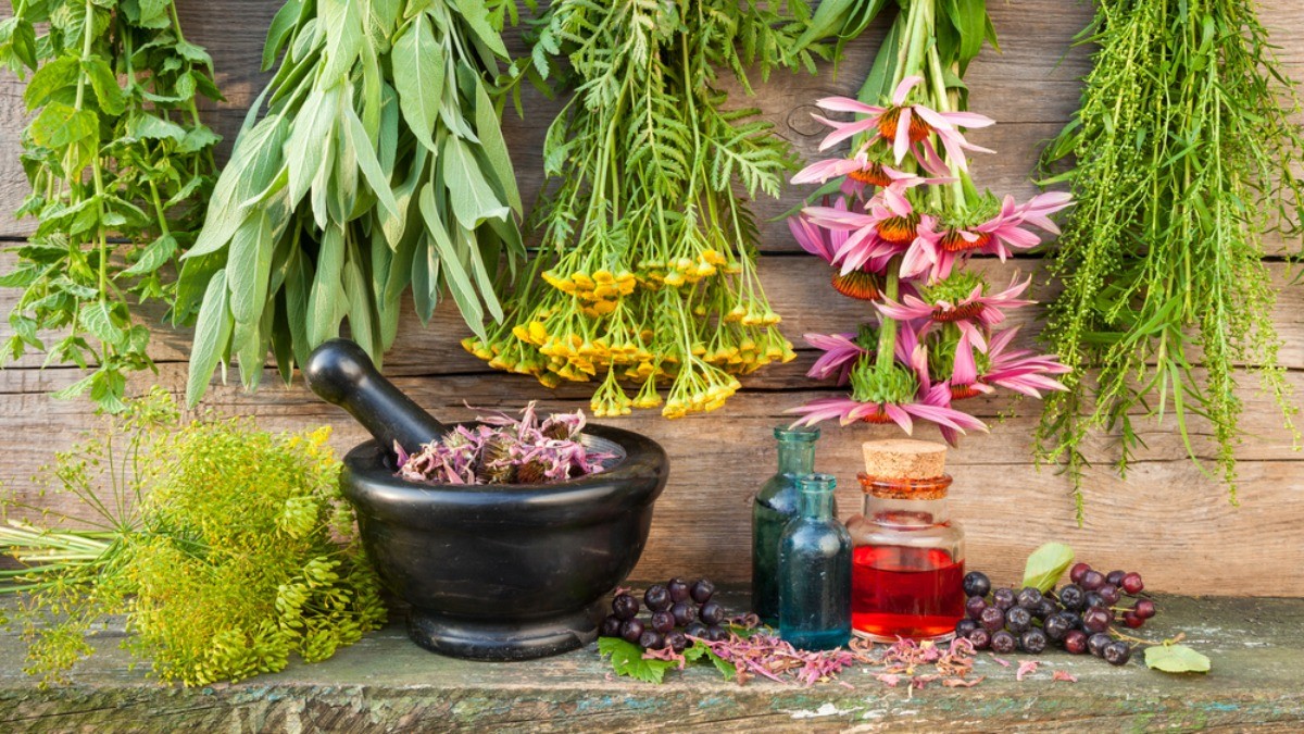 Khasiat Minyak Buah Merah Papua dalam Pengobatan Tradisional dan Modern