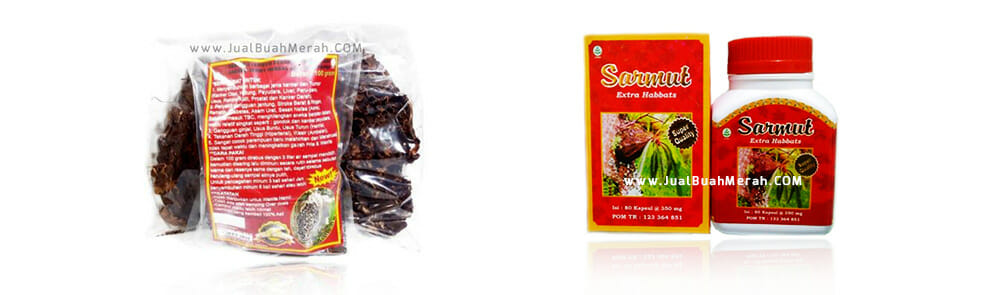 harga sarang semut papua