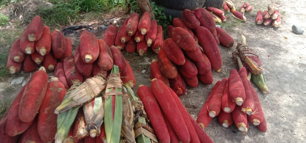 buah dalamnya merah
