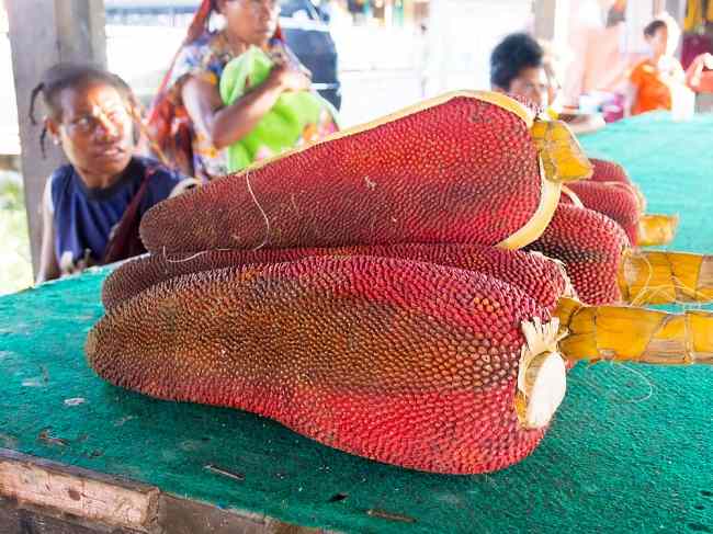 buah merah papua asli