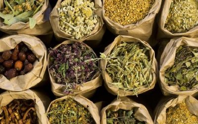 Panduan Praktis Hidup Sehat dengan Herbal Alami