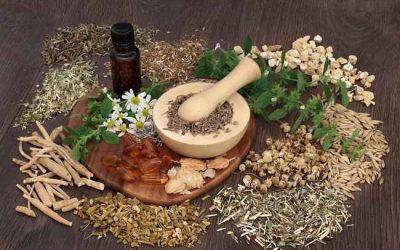 Benarkah Herbal Bisa Membantu Pengobatan HIV?