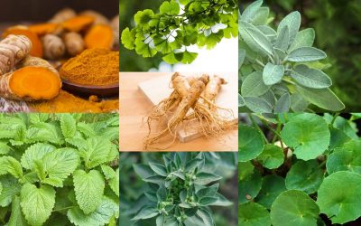 Tradisi Obat Herbal: Warisan Leluhur yang Masih Hidup