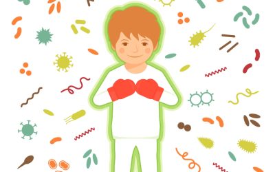 3 Fungsi Sistem Imun: Pertahanan, Regulasi, dan Dukungan Buah Merah Papua