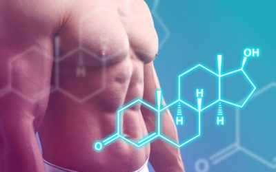 Suplemen Testosteron Pria — Solusi Alami & Sarang Semut Papua