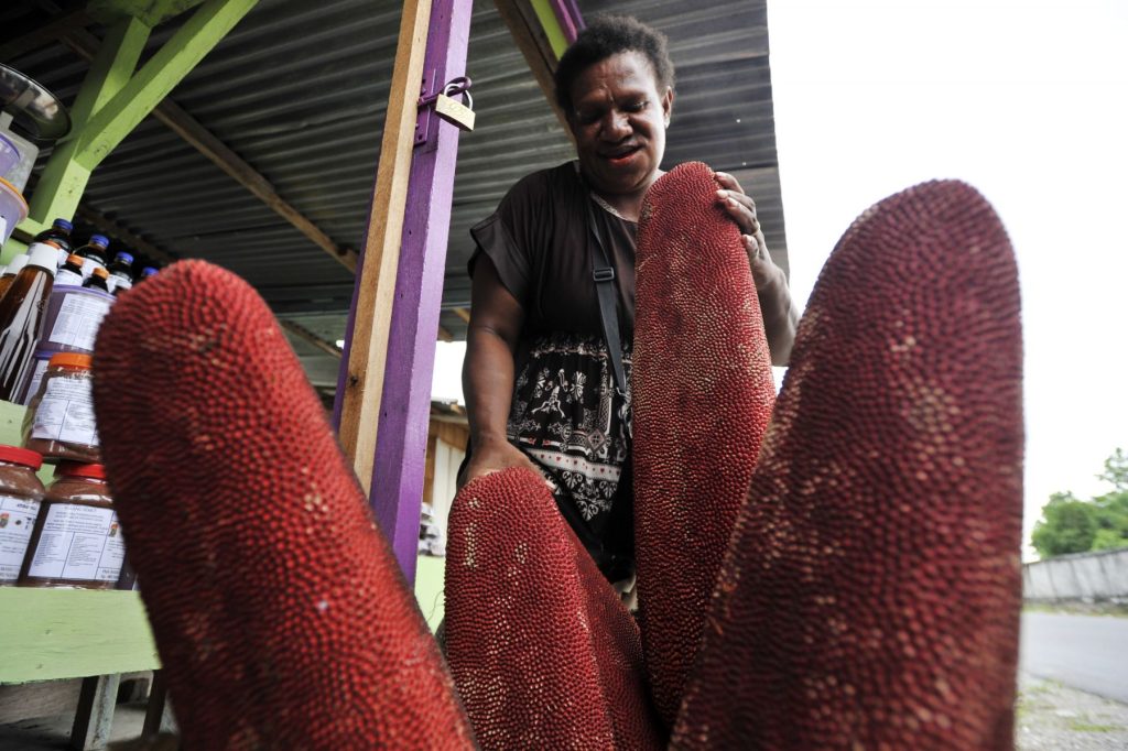 getah buah merah papua