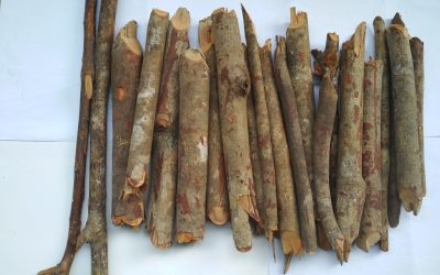 Kayu Akway dan Rumput Kebar, Manfaat dan Perbedaan