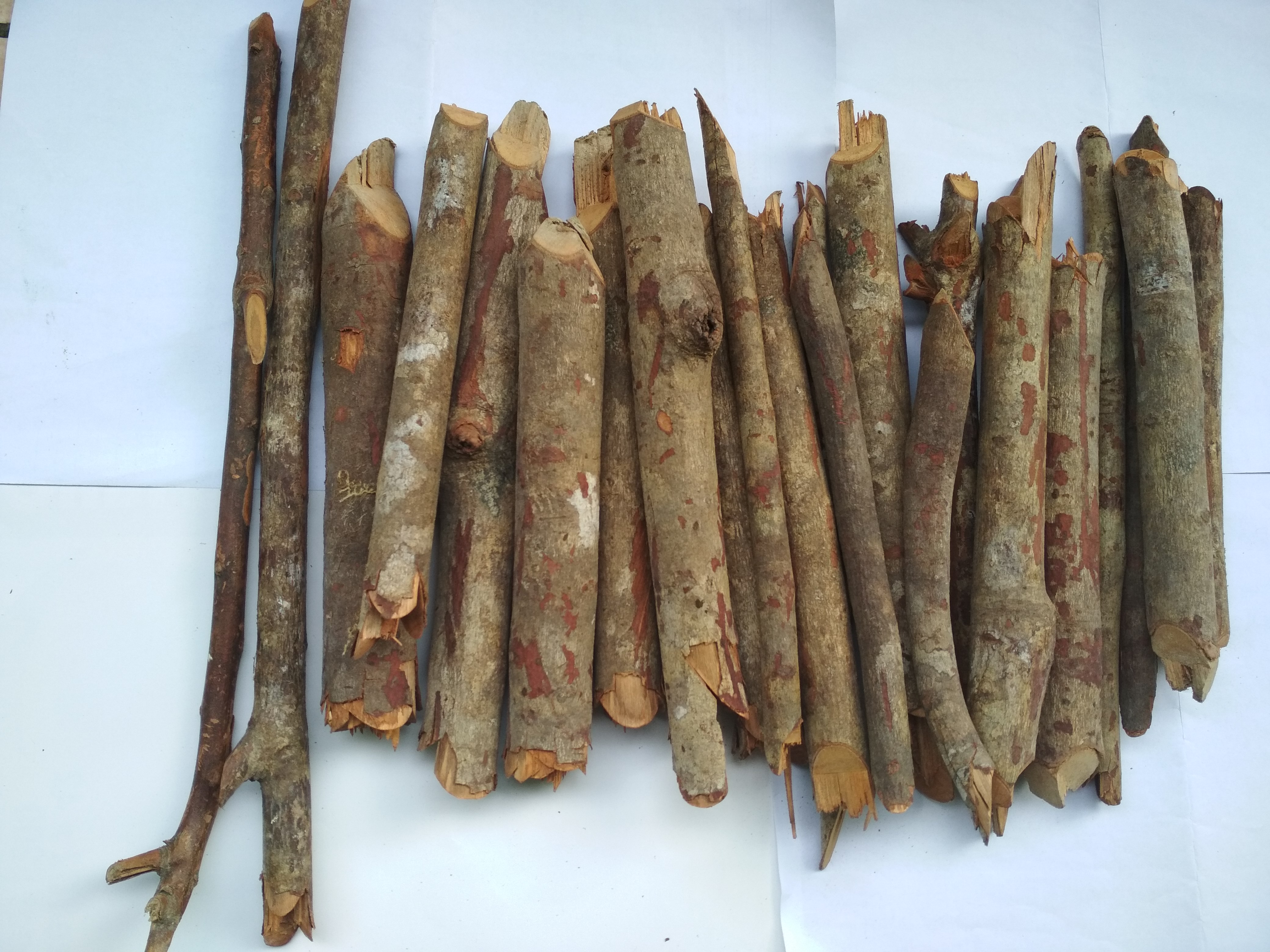 kayu akway dan rumput kebar