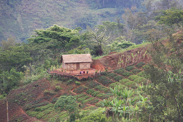 goroka papua new guinea