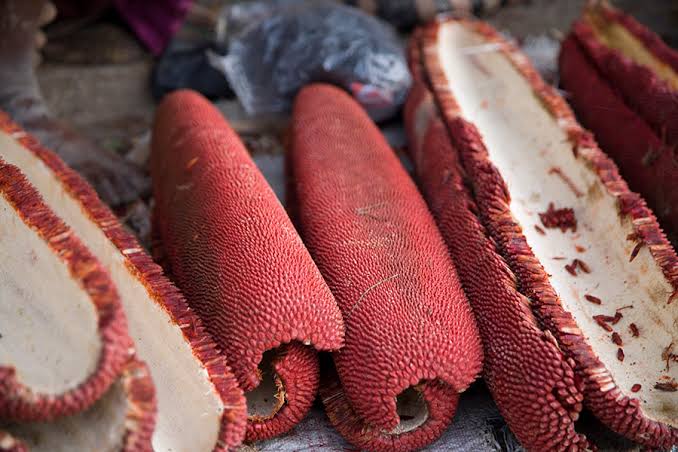 minyak buah merah papua
