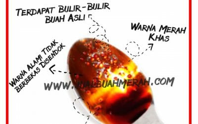 6 Cara Membedakan Buah Merah Asli dan Palsu, Getah Buah Papua