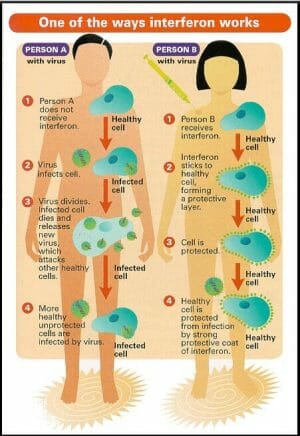 gambar penyebaran virus hepatitis