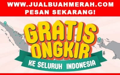 PROMO BUAH MERAH PAPUA 500 ML