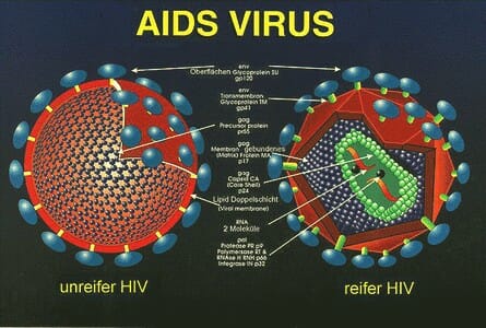 aids hiv kasiat buah merah