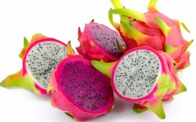 Khasiat Buah Naga Untuk Kesehatan Termasuk Untuk Penyakit Ganas
