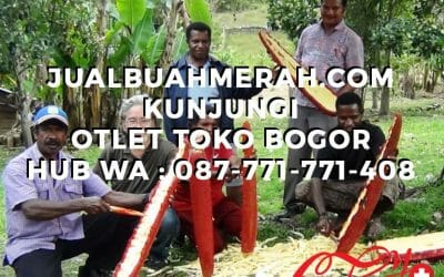 Jual Buah Merah Asli Di Bogor Pabrik Berizin BPOM CV Cahya Indonesia