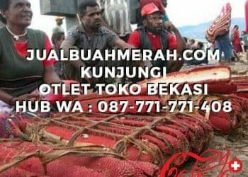 JUAL BUAH MERAH DI BEKASI