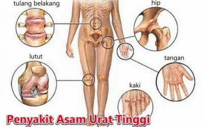 Khasiat Buah Naga Merah Segar, Untuk Obat Apa Saja