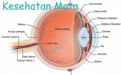 Manfaat Buah Semangka Merah Untuk Kesehatan Dan Lainnya