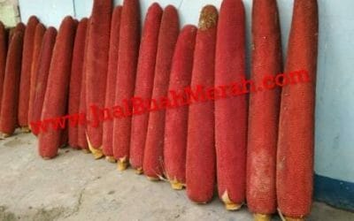 4 Bahaya Efek Murah Palsu yang Wajib Diketahui