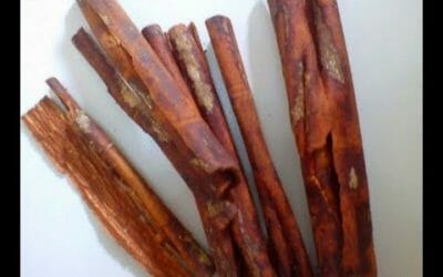 11 Manfaat Kayu Akway Papua Super Dan Cara Pemakaiannya