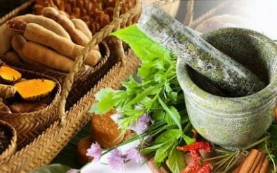 Obat Herbal Kanker Ampuh yang Banyak Digunakan