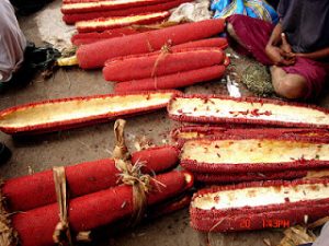 buah merah sembuhkan kanker