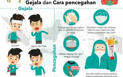 BUAH MERAH UNTUK MEMBANTU PENGOBATAN MALARIA
