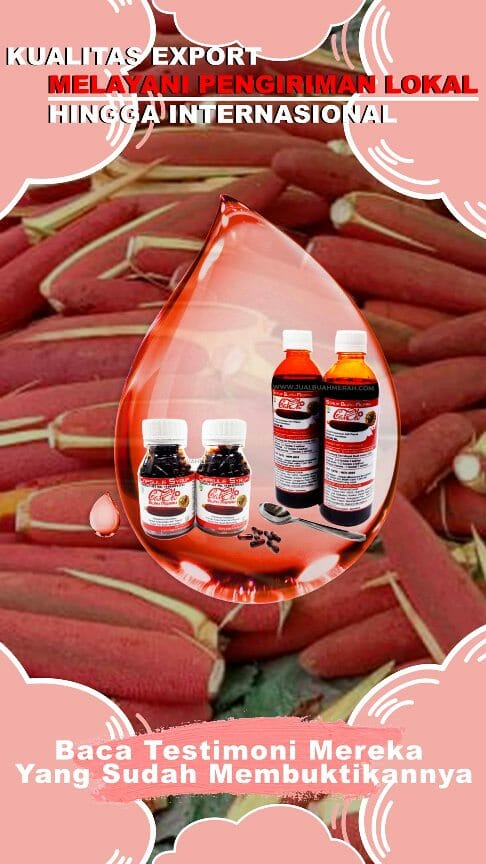 3 manfaat cahya buah merah papua