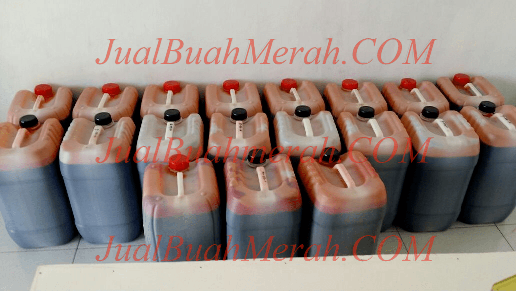 Cahya Buah Merah Kualitas Ekspor