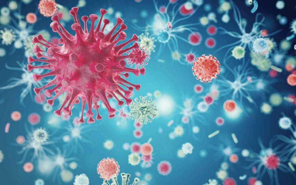virus penyebab kanker
