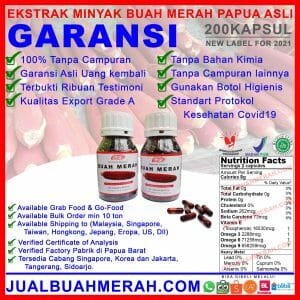 ekstrak minyak buah merah papua
