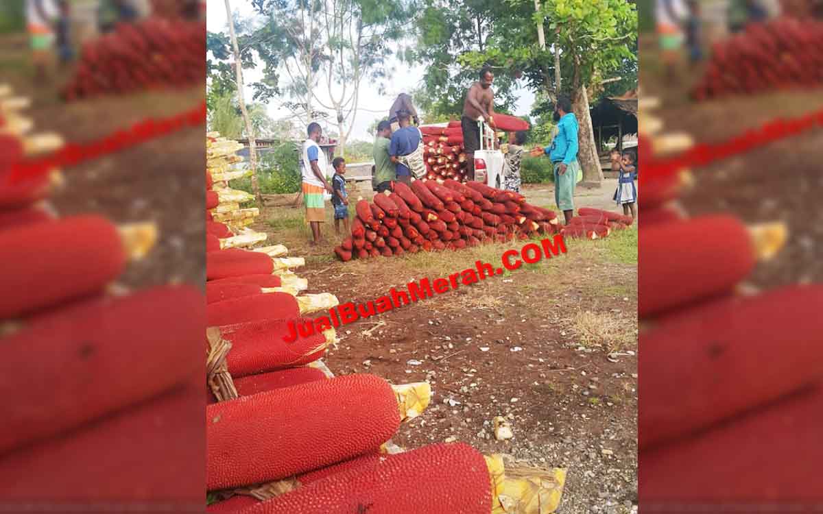 cara pencegahan asam urat