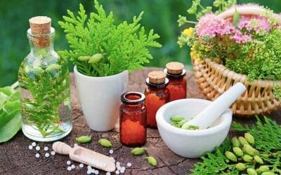 Daftar Tanaman Herbal Untuk Imunitas Tubuh