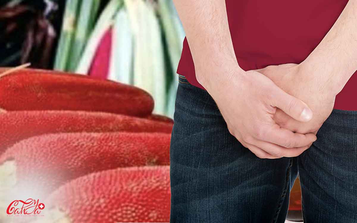 Obat Prostat Herbal Alami