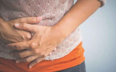 Khasiat Sarang Semut Obat Ampuh Dalam Mengobati Penyakit Maag Akut