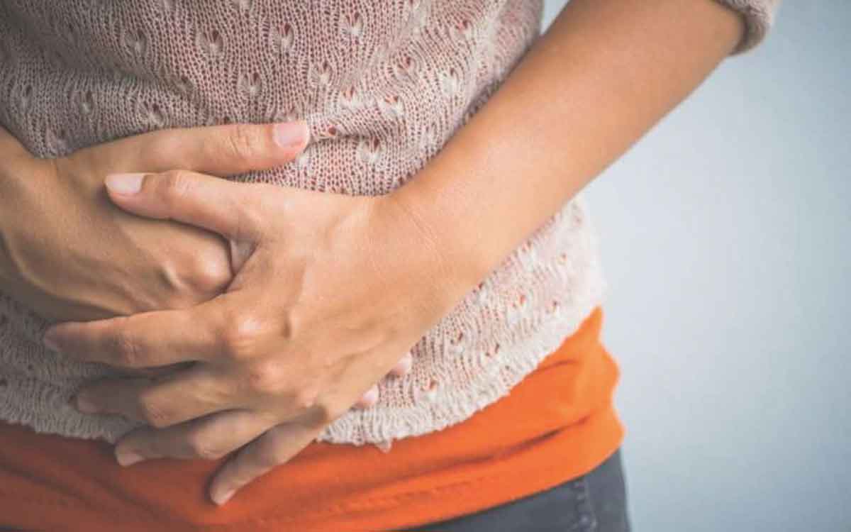 Khasiat Sarang Semut Obat Ampuh Dalam Mengobati Penyakit Maag Akut