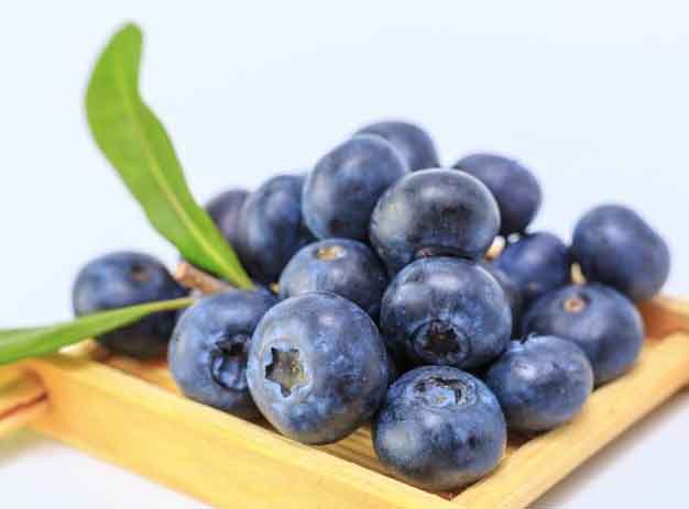 buah antioksidan blueberry