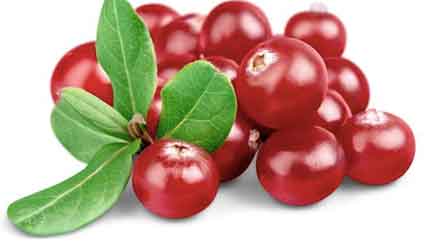 cranberry antioksidan merah