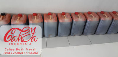 MEMBANGUN BRAND YANG KUAT UNTUK BISNIS JUAL BUAH MERAH PAPUA: LANGKAH-LANGKAH PRAKTIS