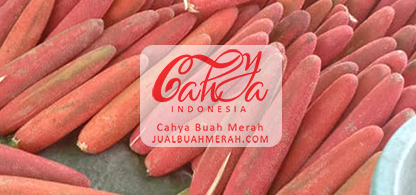 Perbandingan Omega 3 dan 9 buah merah dengan minyak ikan.
