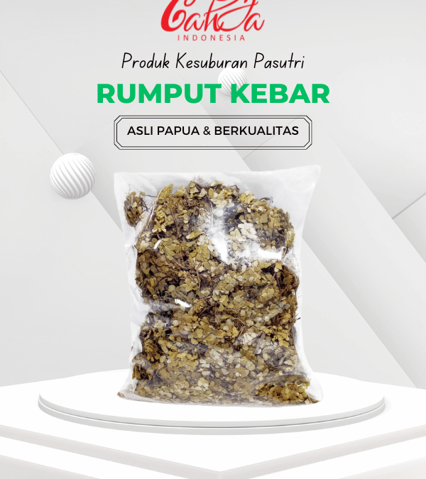 Cara Minum Rumput Kebar yang Benar untuk Hasil Optimal