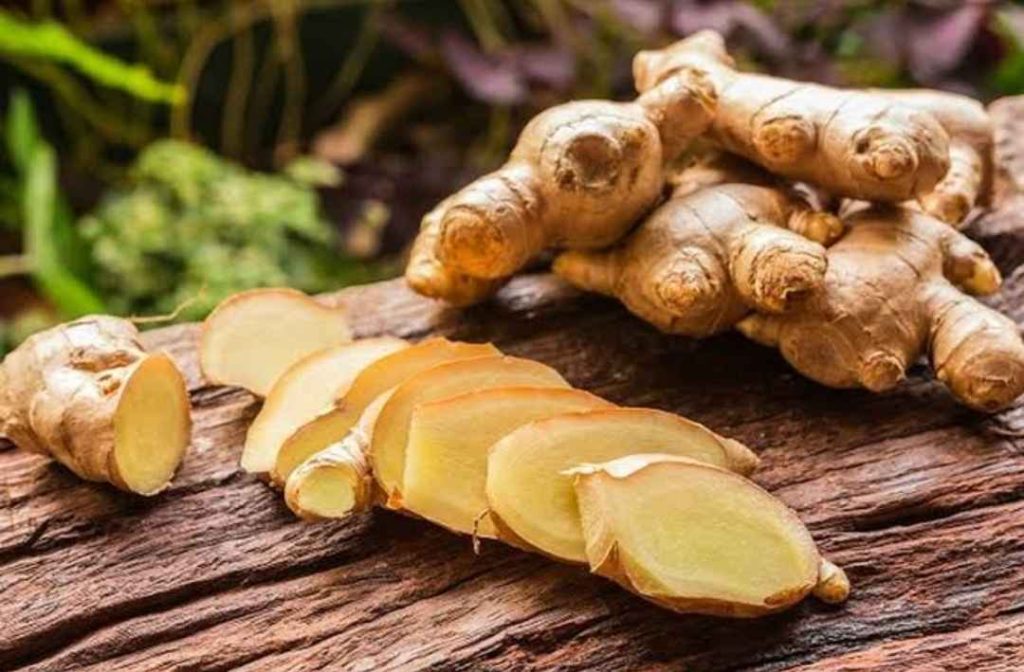 obat herbal nafsu makan